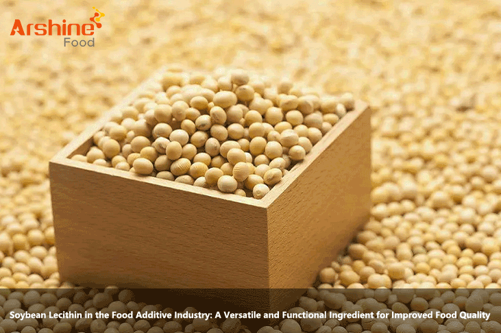 Lecitina de soja en la industria de aditivos alimentarios: un ingrediente versátil y funcional para mejorar la calidad de los alimentos