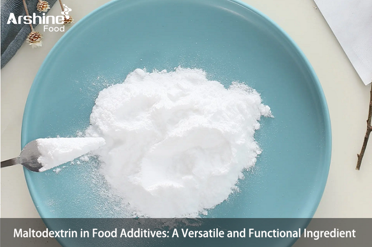 Maltodextrin in Food Additives A Versatile and Functional Ingredient