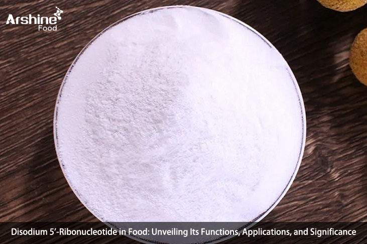 5'-Ribonucleótido disódico en los alimentos: revelando sus funciones, aplicaciones y significado