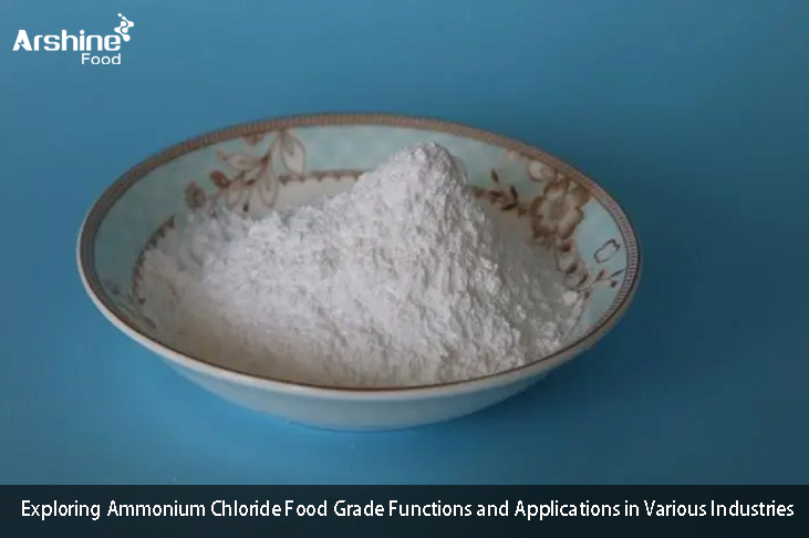 Exploring Ammonium Chloride Food Grade Functions and Applications in Various Industries