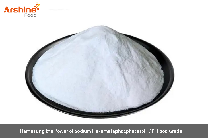 Exploiter la puissance de l'hexamétaphosphate de sodium (SHMP) de qualité alimentaire