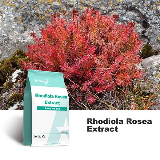 Rhodiola rosea Extrait